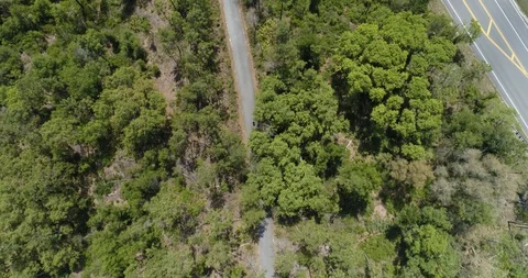 Cyclist on cycle path in wooded area, descending to canopy level drone aerial 4K Stock Footage 111418406