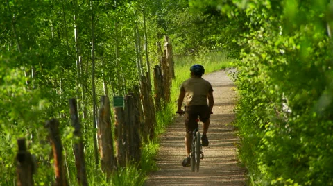 Cyclist cycling on forest path Stock Footage 57814223