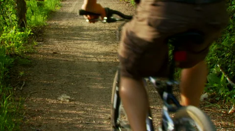 Cyclist cycling on forest path Stock Footage 57814257