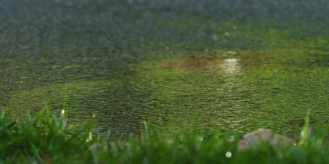 Cyclist cycling through a puddle and splashing water Stock Footage 103747577