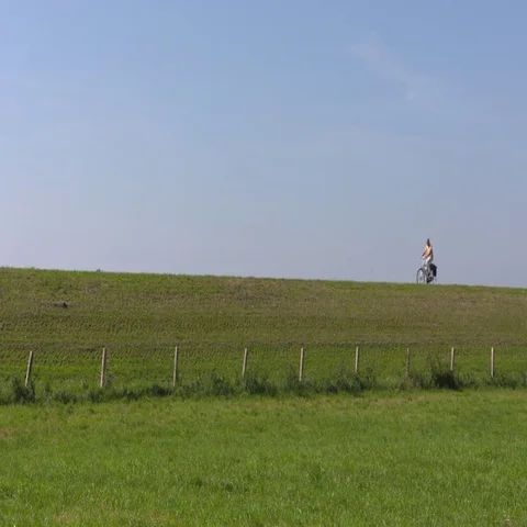 Cyclist on a dike in The Netherlands - on camera. Stock Footage 69484090
