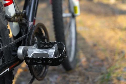 Cyclist in the forest close-up. Stock Photos