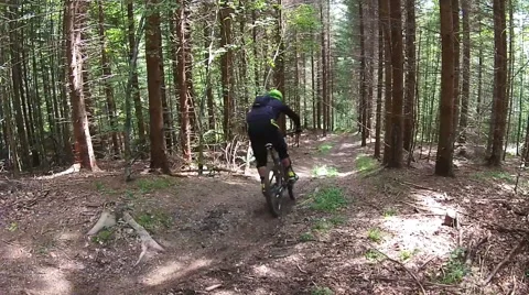 Cyclist on forest trail Video stock 65414069