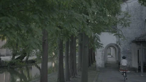 Cyclist goes through a temple with trees all around Stock Footage 286834339