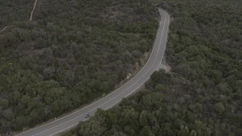 Cyclist on a long road surrounded by trees Stock Footage 123332866