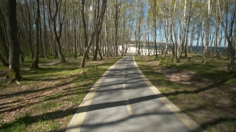 Cyclist looking forward while standing on the seashore bike path. POV shot Video stock 240874485
