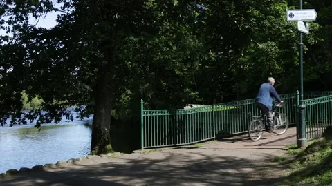 Cyclist moving in forest next to river and lamp post during summer 動画素材 72671304