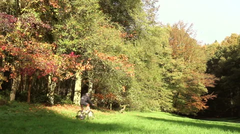 Cyclist in the park. Stock Footage 43478061