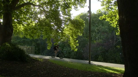 Cyclist passes through trees at sunset. ID0195B Stock Footage 234572382