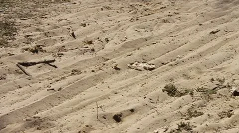 Cyclist passing on sand track Stock Footage 10805036