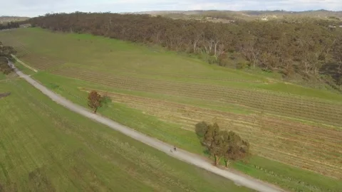Cyclist on path in countryside 4k Video stock 279295076