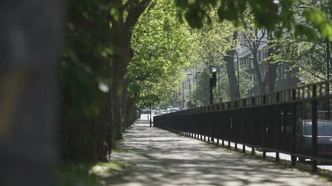 Cyclist on Pavement on a summer's day Stock Footage 93200391