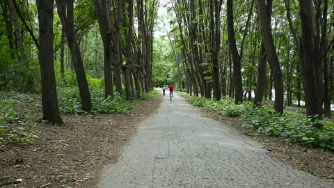 Cyclist in red blue uniform on yellow bike flies on camera revealing hands. Stock Footage 85897058