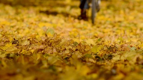 Cyclist ride. Stock Footage 81755866