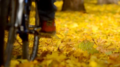 Cyclist ride. Stock Footage 81756215