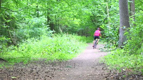 Cyclist ride by forest path and hide behind bushes. Full HD Stock Footage 58667990