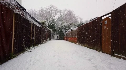 A cyclist ride through path, snow covered trees along wooden fence.  4k Stock Footage 148766811