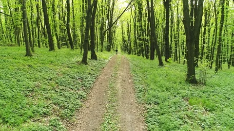 Cyclist rides along forest path. Stock-Footage 129630560
