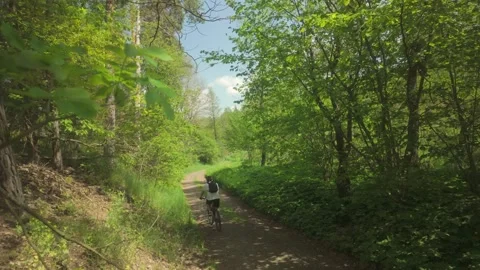 A cyclist rides along a forest path between the trees Stock Footage 336308948