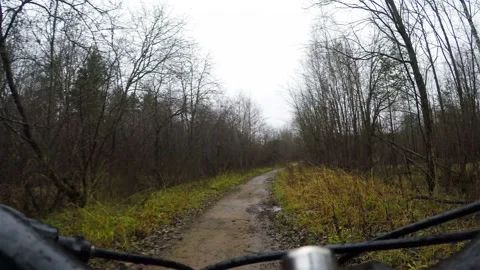 A cyclist rides along a narrow path in the forest. From the first person Stock Footage 128145264