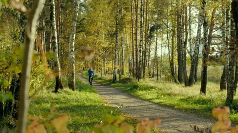 A cyclist rides along a path in a park Stock Footage 68221149