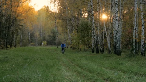 A cyclist rides along a path in a park. On the Sunset Stock Footage 68299735