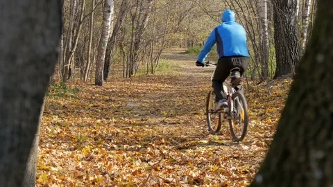 A cyclist rides along a path in a park, in a beautiful sunny day Video stock 69801006