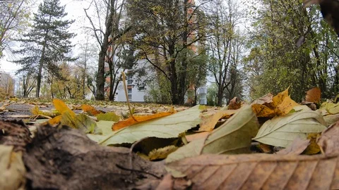 A cyclist rides along a path in a park in a bedroom district of Munich, Germany Stock Footage 119854451