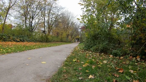 A cyclist rides along a path in a park in a bedroom district of Munich. Fallen 스톡 동영상 119856353