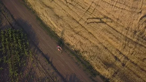 A cyclist rides along the road between agricultural fields Stock Footage 91343525
