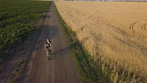 A cyclist rides along the road between agricultural fields Stock Footage 93446390