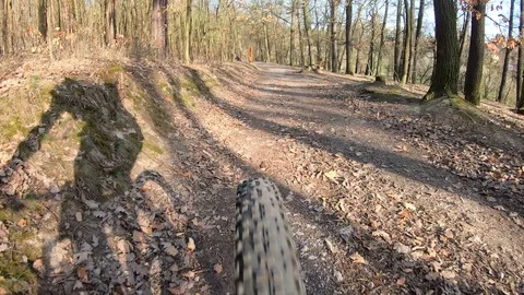 Cyclist rides a bicycle, back view 4k Stock Footage 106554885