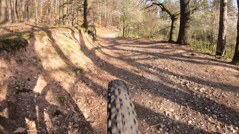 Cyclist rides a bicycle, back view 4k Stock Footage 106554956
