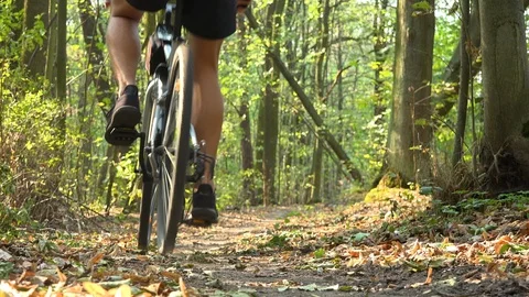 A cyclist rides down a path through a forest - rear view from ground 스톡 동영상 103245592