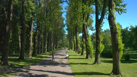 A cyclist rides onto a park path Stock Footage 137574349
