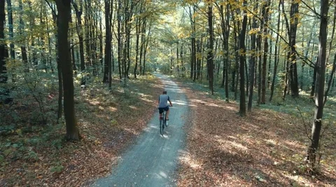 Cyclist Rides Through the Autumn Forest. 4k (Uhd) Video Stock Footage 67668053