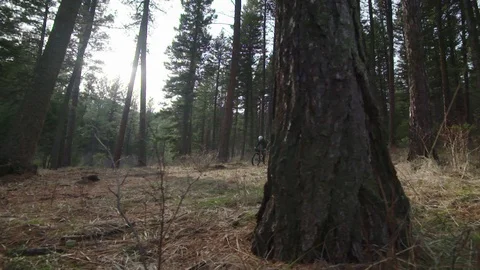 Cyclist rides through a forest clearing slow motion Video stock 90820842