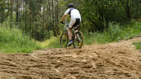 Cyclist rides through the forest Video stock 65317121