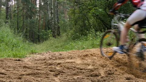 Cyclist rides through the forest Video stock 65339431