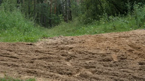 Cyclist rides through the forest Video stock 65366120