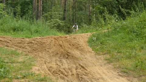 Cyclist rides through the forest Stock Footage 65366216