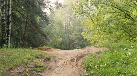Cyclist rides through the forest Stock Footage 66148889