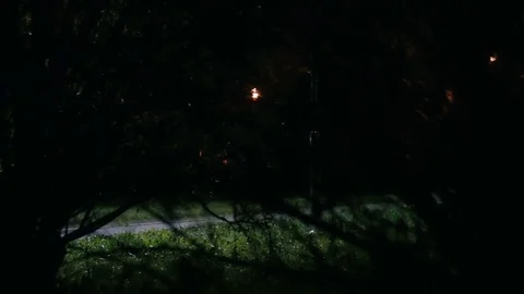 Cyclist rides through the park Video stock 76494601