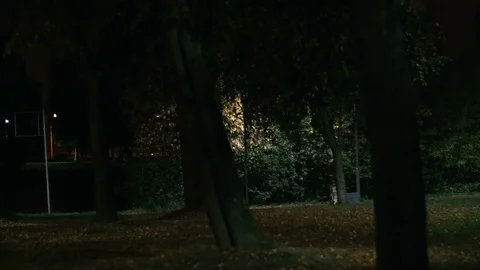 Cyclist rides through the park Stock Footage 76494708