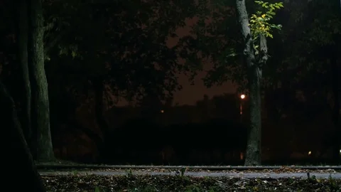 Cyclist rides through the park Vídeos de archivo 76494843