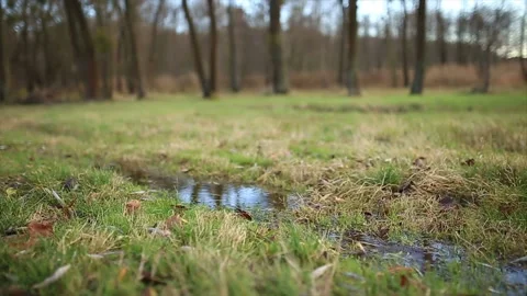 Cyclist Rides Through Puddles Stock-Footage 87385674