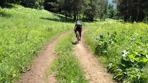 Cyclist rides on the trail in the forest with a backpack. Stock Footage 97835855