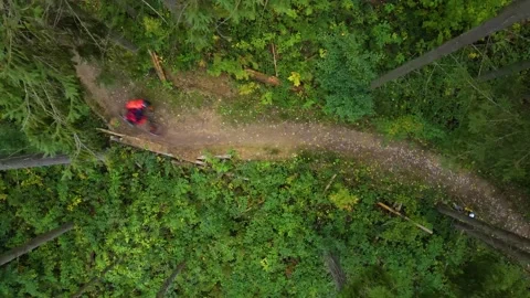 Cyclist rides in the woods Stock Footage 171831769