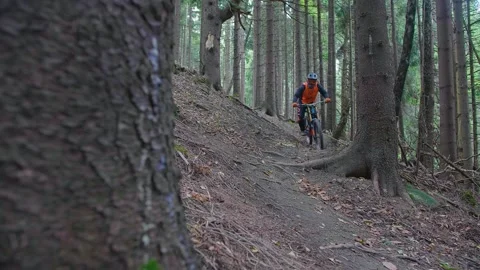 Cyclist rides in the woods Stock Footage 172029986