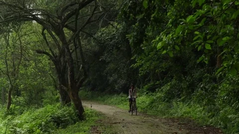 Cyclist riding along a forest road surrounded by dense tropical greenery Видео 337928638